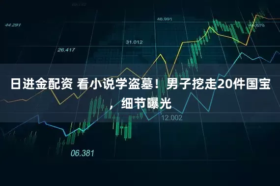 日进金配资 看小说学盗墓！男子挖走20件国宝，细节曝光